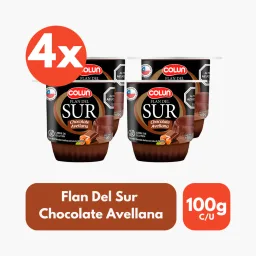 FLAN DEL SUR (CHOCOLATE AVELLANA, PANNA COTTA FRUTOS ROJOS o CARAMELO TOFFEE) 100g